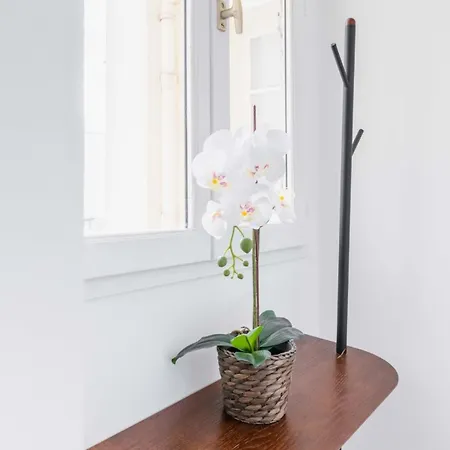Fonctionnel Et Confortable - 10 - 2p - Flat-guest Paris